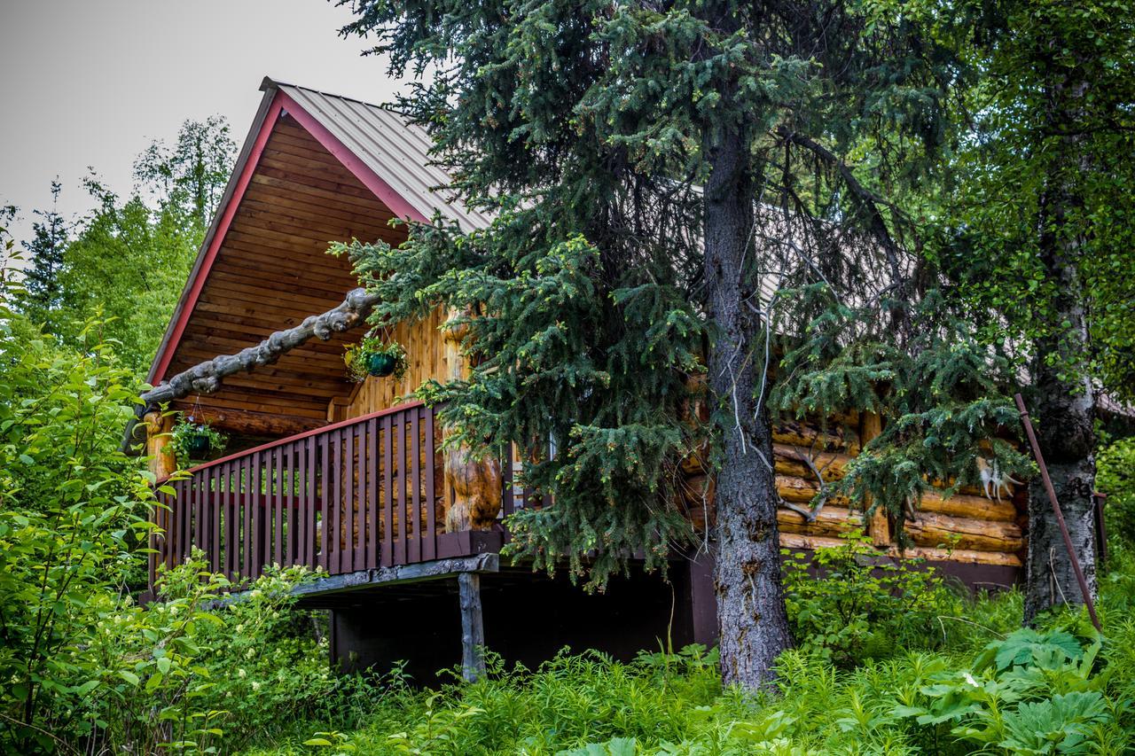Midnight Sun Log Cabins Moose Pass Екстериор снимка