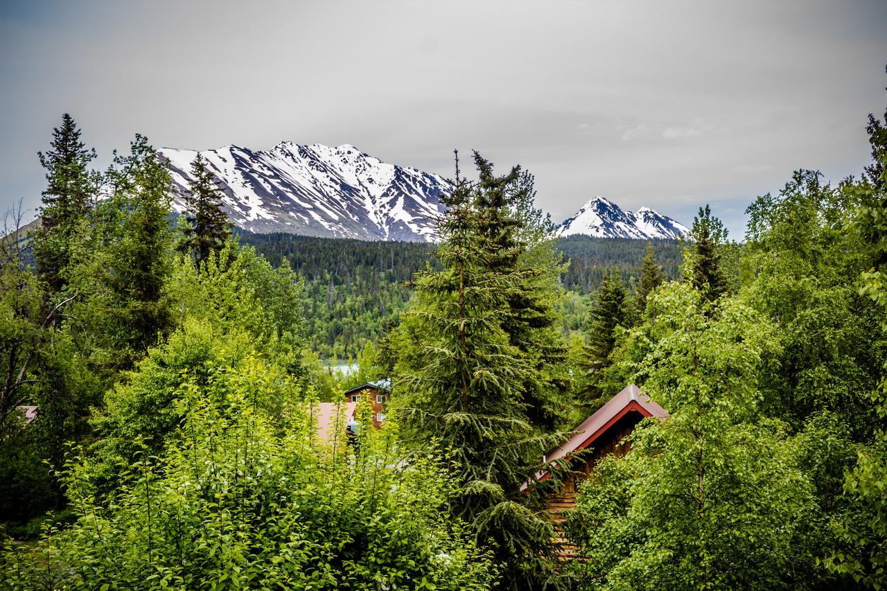 Midnight Sun Log Cabins Moose Pass Екстериор снимка