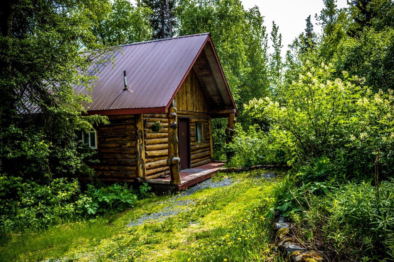 Midnight Sun Log Cabins Moose Pass Екстериор снимка